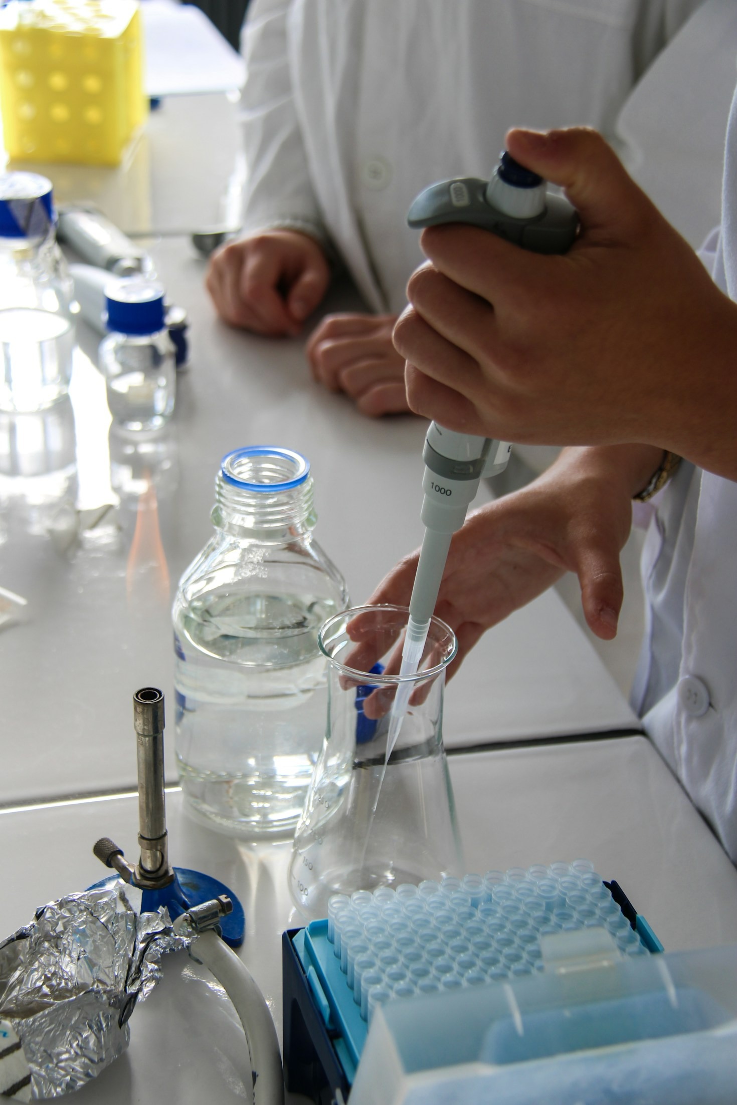 How Transparent Testing Drives Scientific Progress
